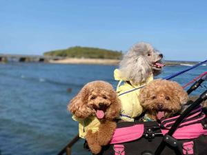 日向サーフキャンプ106