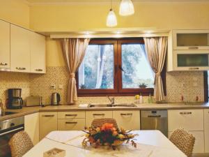 Meraki apartment