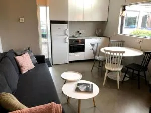 Adorable one bedroom apartment with free parking. - Álftanes