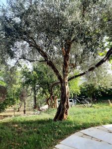 Σπίτι στον κήπο