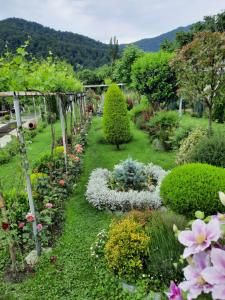 obrázek - Guest House Gardenia & Wine Cellar