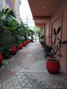 Hotel Tulum Centro, Party Hotel