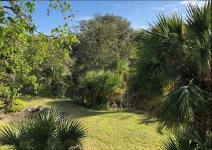 Palm View: Secluded Oasis in Melbourne Village