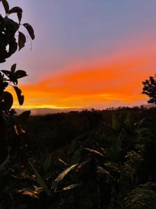 Terraé Eco-Sanctuary