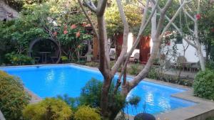 Phòng Giường Đôi Nhìn Ra Vườn (Double Room with Garden View)