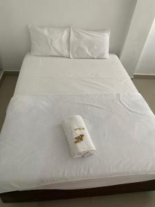 Apto cerca a la playa del rodadero