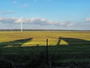 Mühlenurlaub Südheide