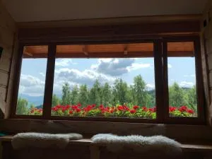 Apartament Hakerówka - Wojcieszyce