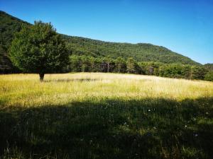 Maisons d'hotes Quietude, Confort & Nature Pre-Alpes Cote d'Azur : photos des chambres