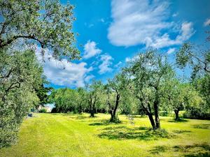 Agriturismo CasaViVa