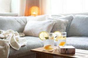 Olga & Ludvik country apartment 