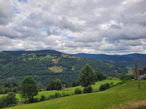 Maisons de vacances Appartement chaleureux au coeur des Hautes Vosges : photos des chambres