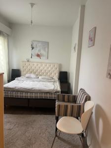 Yksiö 1 km jokirannasta föriltä 2 km torilta