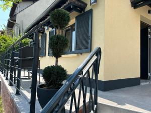 Modern house with fantastic view