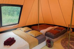 Tentes de luxe 2 Luxe tent bij La Ferme de l'aventure Ronnet : photos des chambres