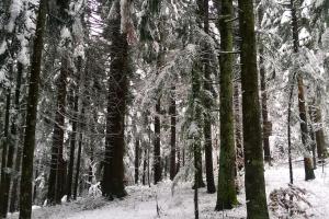 Apartman Srna - Gorski kotar