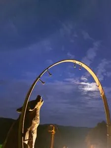 Le Repère du Loup - Chambon