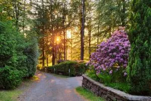 Thüringer Waldbaude - 坦巴赫-迪塔尔茨