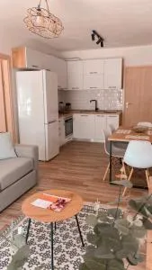 Heili's Cozy Apartment 2 - Sakës