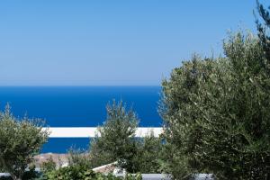 Splendour Hotel and Suites