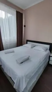 Cozy apartment in Borjomi with beautiful view - Sakire