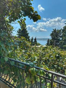 Apartments Matejčić