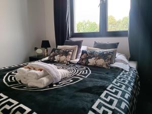 Modern Rancho - apartamenty nad rzeką, przy stadninie koni