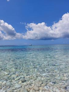 Kuća za odmor Silba