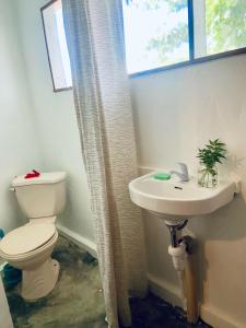 Babu Backpackers inn