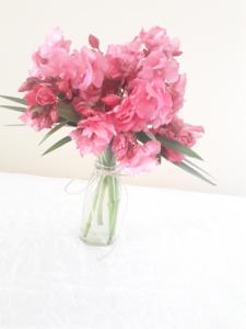 Villa Kuci, Drobonik Berat