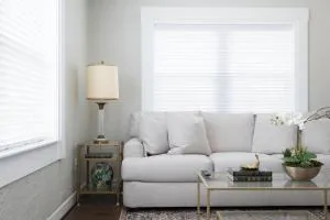 Dragon on Taylor St - Claude