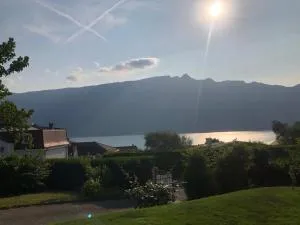 Studio la dent du chat - 勒·维威恩斯·杜·拉克