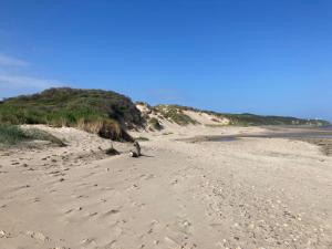 Aparthotel Des 2 Caps