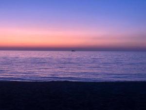 Relax Pine Villa Residence