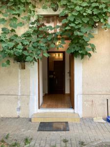 Contessa Central Studio II