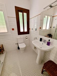 Apartament Insula Fabia