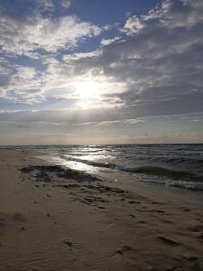 Apartament Mierzeja Wiślana