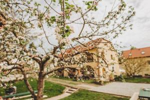 Boutique Apartmán Speicher