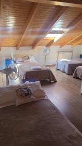 Albergue Só Por Hoje , Albergue para Peregrinos del Caminho de Santiago