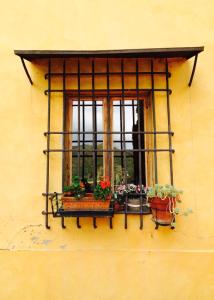 AGRITURISMO PODERE LE PIALLE