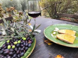 AGRITURISMO PODERE LE PIALLE