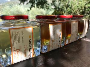 AGRITURISMO PODERE LE PIALLE