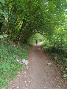 Sejours chez l'habitant Chalet d hotes lac d Annecy Doussard : photos des chambres