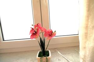 Casa Daniela Cagliari img13