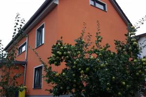 ruhige Einliegerwohnung+Terrasse