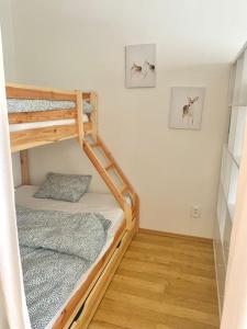 Family Ski apartment