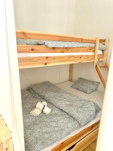 Family Ski apartment