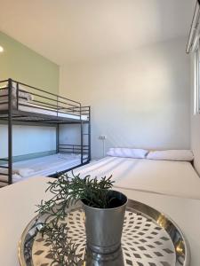#15 Mini ESTUDIO FAMILIAR AYAMONTE