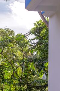 Silver County Hotel, Fuvahmulah - Maldives