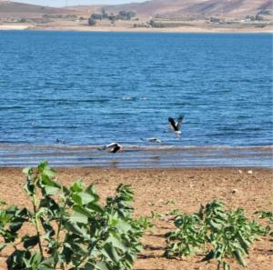 auberge au lac du barrage sala al jadida